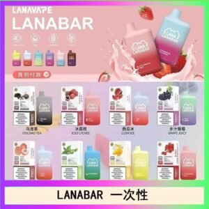 LANA BAR可充电一次性電子煙霧化5000口(3.0%)