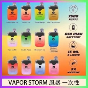 Vapor Storm風暴電子煙7500口（5%）一次性